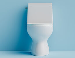 A toilet.