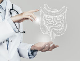 A doctor displays the digestive system.